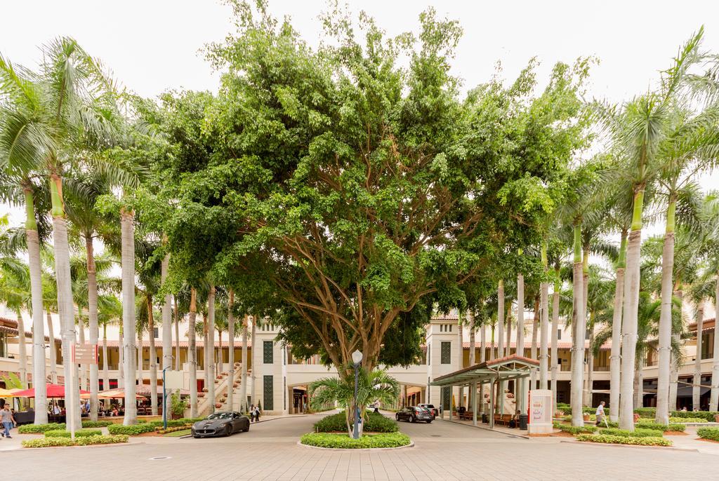 Pelicanstay In Coral Gables Miami المظهر الخارجي الصورة